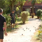 Confort 4 Pers, Terrasse Jardin - Api-1-52-1942 Montlaur (Aveyron)