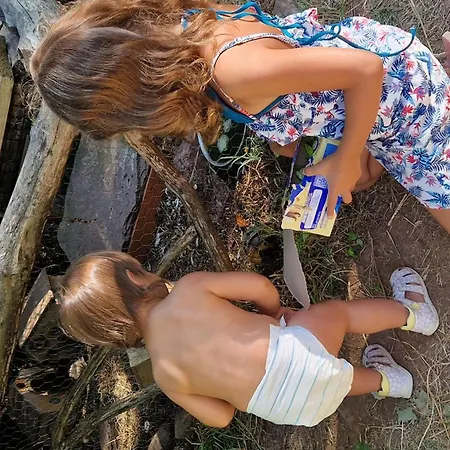 Confort 4 Pers, Terrasse Jardin - Api-1-52-1942 *