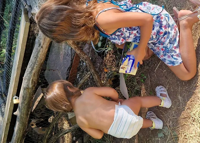 Confort 4 Pers, Terrasse Jardin - Api-1-52-1942 *