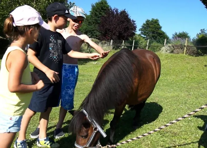 Camping Confort 4 Pers, Terrasse Jardin - Api-1-52-1942 *