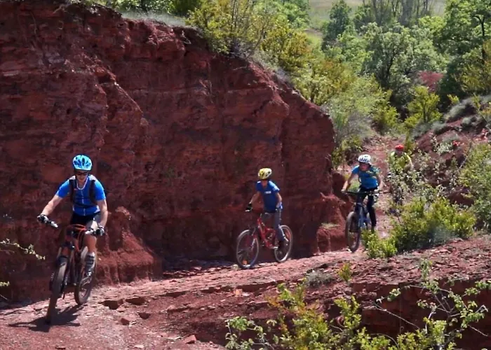 Confort 4 Pers, Terrasse Jardin - Api-1-52-1942 Montlaur (Aveyron)