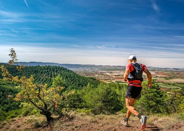 Confort 4 Pers, Terrasse Jardin - Api-1-52-1942 * Montlaur (Aveyron)